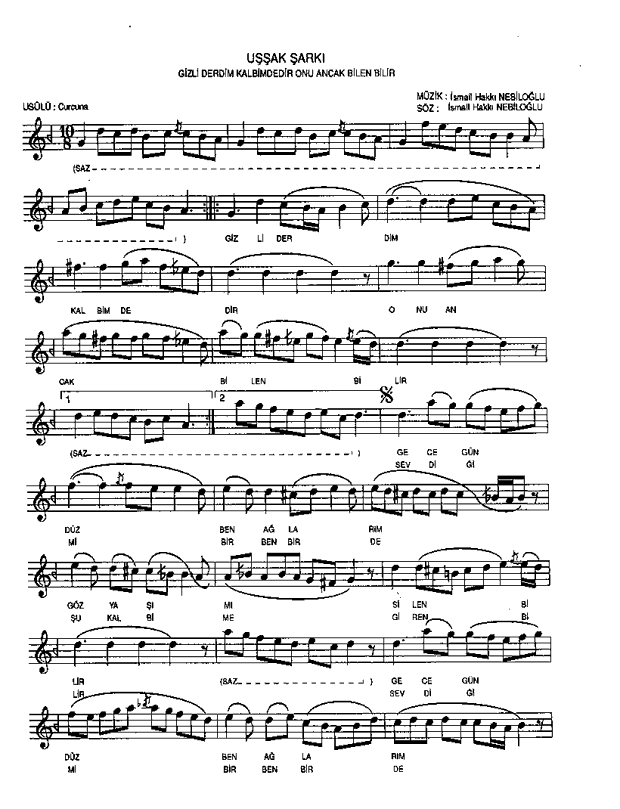 ismail hakkı nebiloğlu